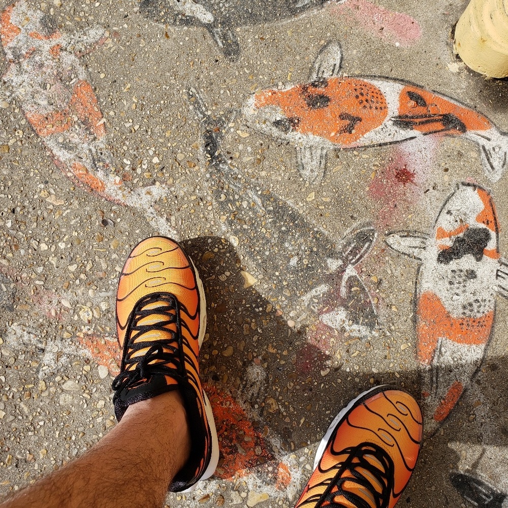 Meet your Posher, Stephen